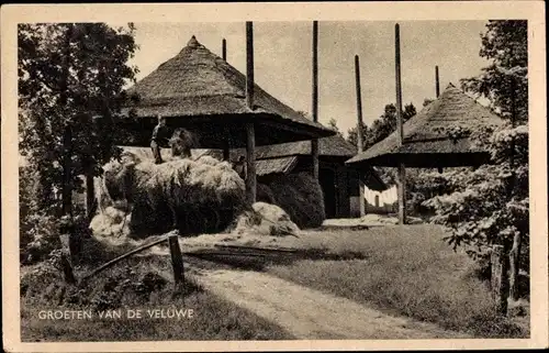 Ak Hoge Veluwe Gelderland Niederlande, Scheune