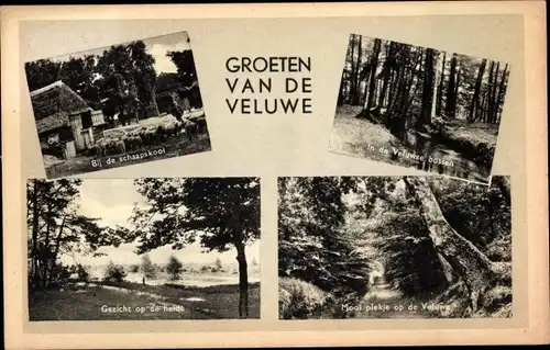 Ak Hoge Veluwe Gelderland Niederlande, Bij de schaapskool, Gezicht op de Heide, Mooi plekje