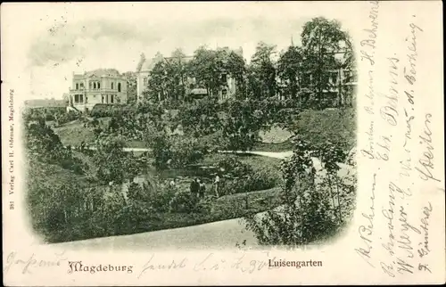 Ak Magdeburg an der Elbe, Luisengarten