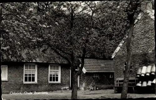 Ak Odoorn Drenthe Niederlande, Oude Boerderij, Hotel Bos