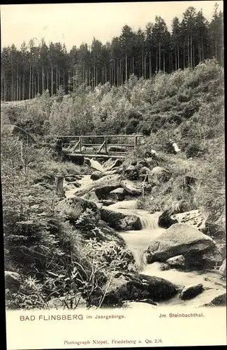 Ak Świeradów Zdrój Bad Flinsberg Schlesien, Steinbachtal im Isergebirge