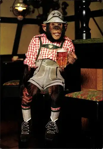Ak Schimpanse trinkt Bier, Bayrische Tracht