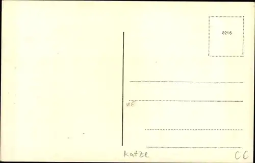 Ak Portrait einer Katze