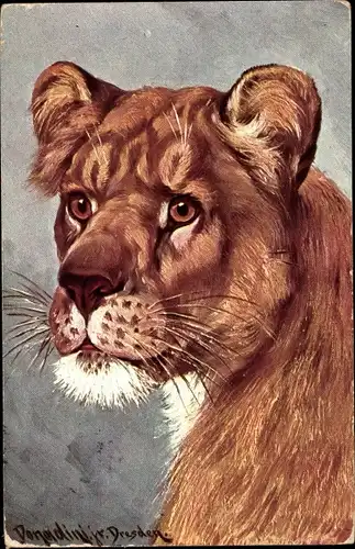 Künstler Ak Donadini, Antonio Ermenegildo, Löwin, Raubkatze