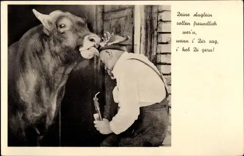 Ak Bauer von seinem Tier begrüßt, Pferde, Bauernhof, Kuss