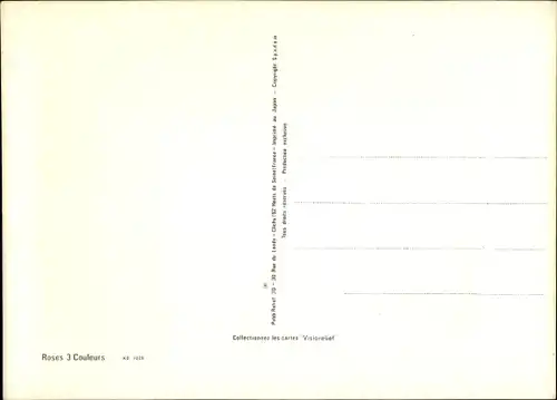 3D Ak Rosen, Roses 3 Couleurs