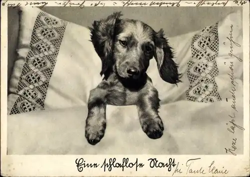 Ak Eine schlaflose Nacht, Dackel im Bett, Kissen