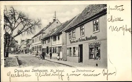 Ak Seehausen Wanzleben Börde in Sachsen Anhalt, Steinstraße, Tapeten u. Farbenhandlung Carl Pabst