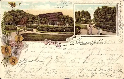 Litho Schwarzenpfost Rövershagen Mecklenburg, Gehöft, Straßenpartie