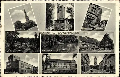 Ak Sangerhausen in Sachsen Anhalt, Ulrichskirche, Rosarium, Gymnasium, Markt mit Rathaus