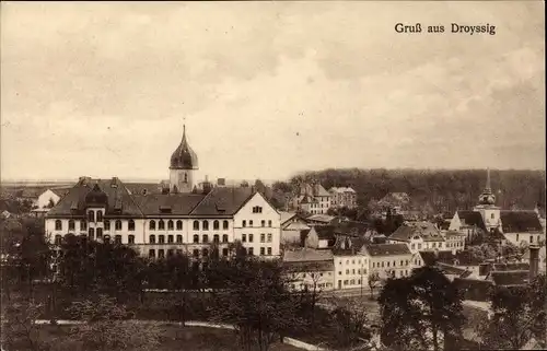 Ak Droyßig Sachsen Anhalt, Teilansicht mit dem Schloss, Park