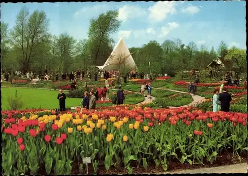 Ak Essen im Ruhrgebiet, Bundesgartenschau 1965, Tulpen, Besucher