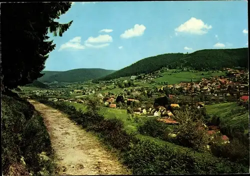 Ak Baiersbronn im Schwarzwald, Panorama