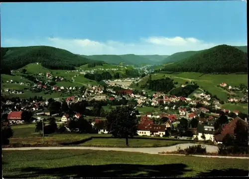 Ak Baiersbronn im Schwarzwald, Panorama