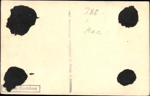 Ak Blankenburg am Harz, Panorama, Kirchturm