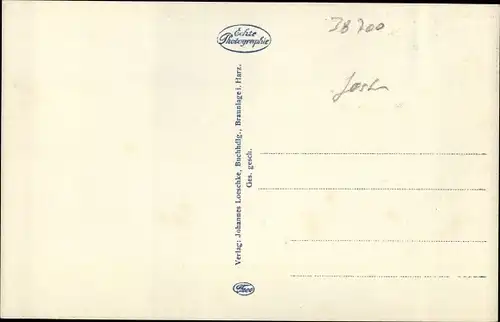 Ak Braunlage im Oberharz, Partie am Gondelteich, Ruderboot