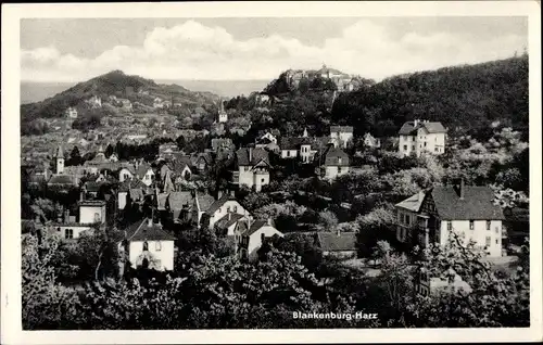 Ak Blankenburg am Harz, Panorama, Kirchturm