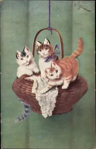 Künstler Ak Stone, A., Drei Katzen auf einem Korb