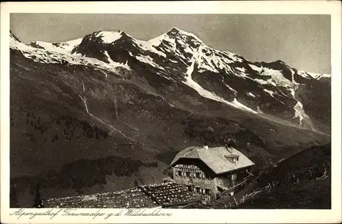 Ak Fusch an der Großglocknerstraße in Salzburg, Alpengasthof Trauneralpe, Wiesbachhorn