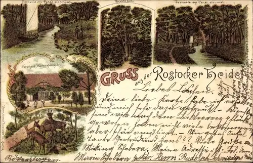 Litho Markgrafenheide Rostock, Rostocker Heide, Forsthaus, Kanal