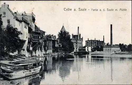Ak Calbe an der Saale, Partie an der Saale mit Mühle