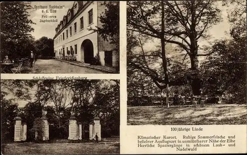 Ak Tochheim an der Elbe Hohenlepte Zerbst in Anhalt, Schloss Friederikenberg, Gasthaus, Jagdschloss