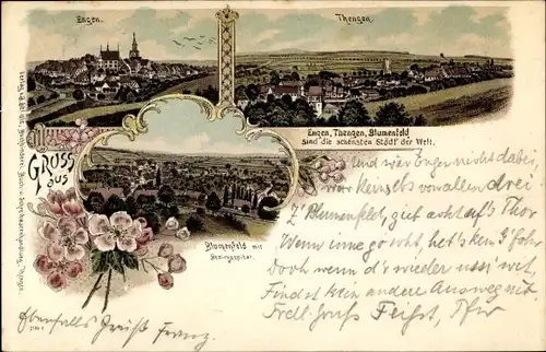 Litho Engen im Hegau in Baden Württemberg, Thengen, Blumenfeld, Bezirksspital