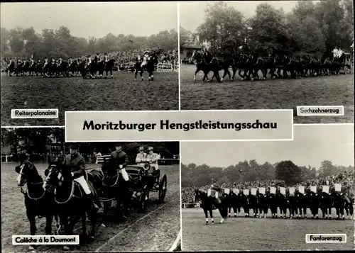 Ak Moritzburg in Sachsen, Moritzburger Hengstleistungsschau, Polonaise, Gespanne, Fanfarenzug