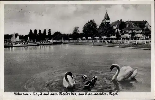 Ak Berlin Reinickendorf Tegel, Schwanfamilie auf dem Tegeler See, Strandschloss