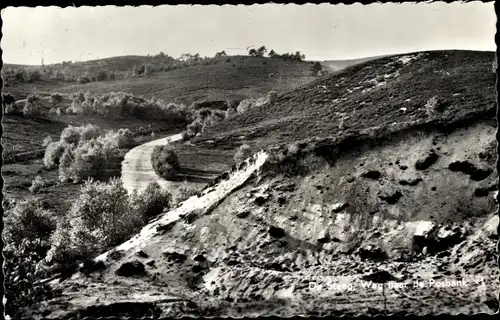 Ak De Steeg Rheden Gelderland, Weg naar de Posbank