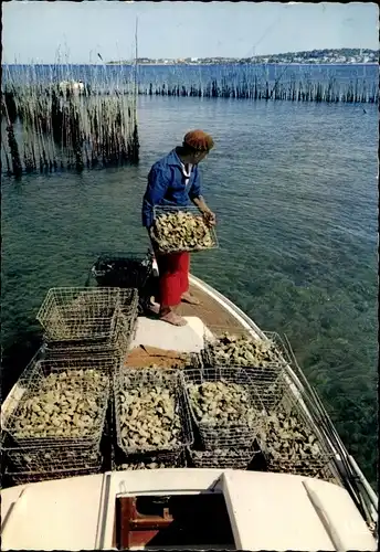 Ak Gironde, Bassin d'Arcachon, Austernzüchter bei der Arbeit