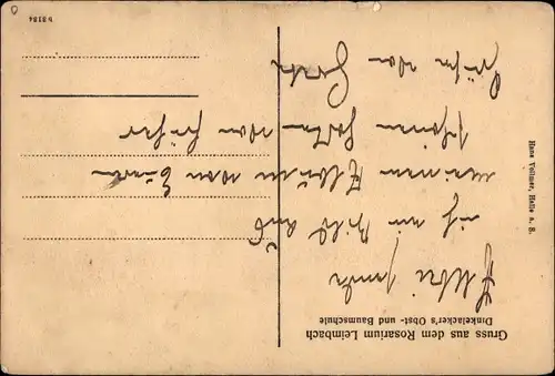 Ak Leimbach Mansfeld im Harzvorland, Rosarium, Dinkelacker's Obst- und Baumschule