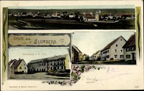 Ak Blumberg im Schwarzwald, Handlung von F. Eby, Straßenpartie, Gesamtansicht