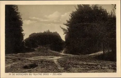 Ak Zelhem Gelderland Niederlande, In de Bosschen bij Quatre Bras