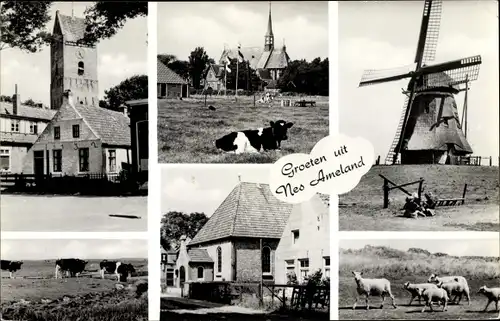 Ak Nes Ameland Friesland Niederlande, Gebäude, Windmühle, Kirche, Kühe, Schafe