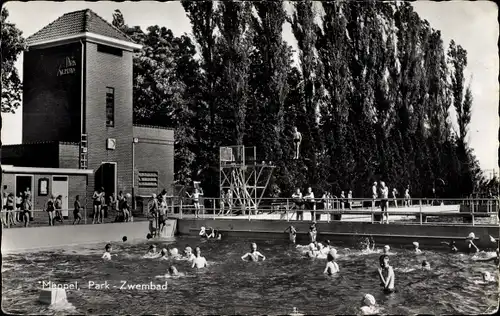 Ak Meppel Drenthe Niederlande, Park - Zwembad