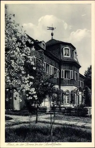 Ak Oberlößnitz Radebeul, Haus in der Sonne, Gasthaus, Gartenseite