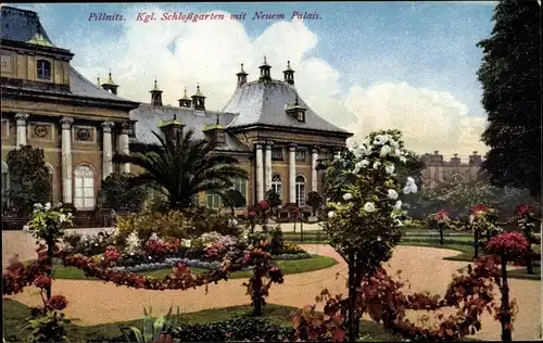 Ak Dresden Pillnitz, Kgl. Schlossgarten mit neuem Palais