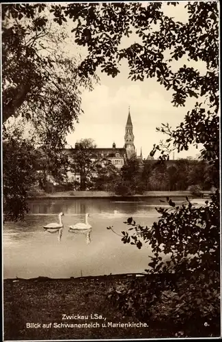 Ak Zwickau in Sachsen, Schwanenteich und Marienkirche
