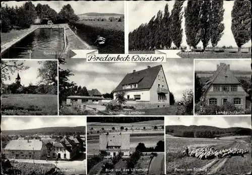 Ak Bredenbeck Wennigsen am Deister, Badeanstalt, Pappelallee, Gemeindehaus, Landschulheim, Schafe