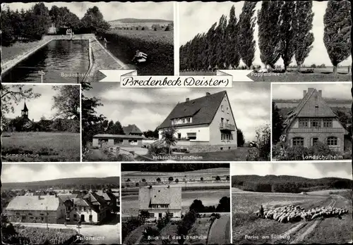 Ak Bredenbeck Wennigsen am Deister, Badeanstalt, Pappelallee, Gemeindehaus, Landschulheim, Schafe