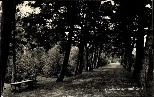 Ak Zeist Utrecht Niederlande, Laantje zonder eind