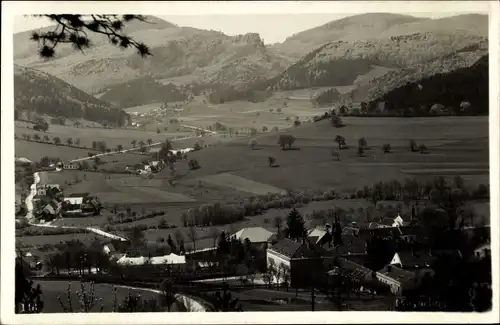 Ak Mayerling Alland Niederösterreich, Ort mit Umgebung