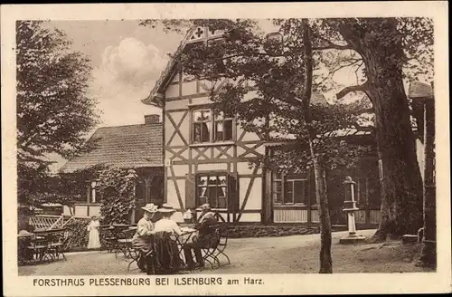 Ak Plessenburg Ilsenburg am Nordharz, Forsthaus