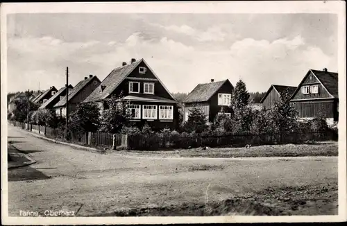 Ak Tanne Harz, Wohnhäuser, Straße
