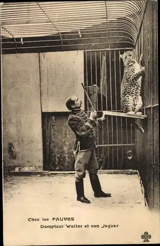 Ak Chez les Fauves, Dompteur Waltor et son Jaguar