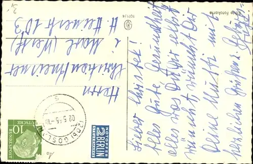 Ak Hier bleibe ich, Terrier, Hundeportrait