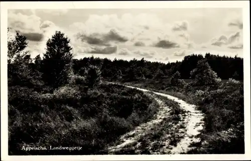 Ak Appelscha Fryslân Friesland Niederlande, Landweggetje