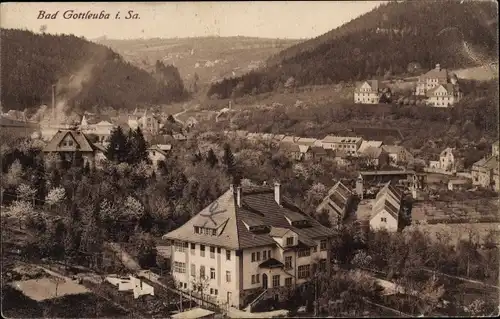 Ak Bad Gottleuba in Sachsen, Panorama