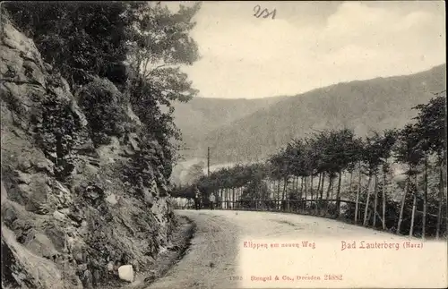 Ak Bad Lauterberg im Harz, Klippen am neuen Weg